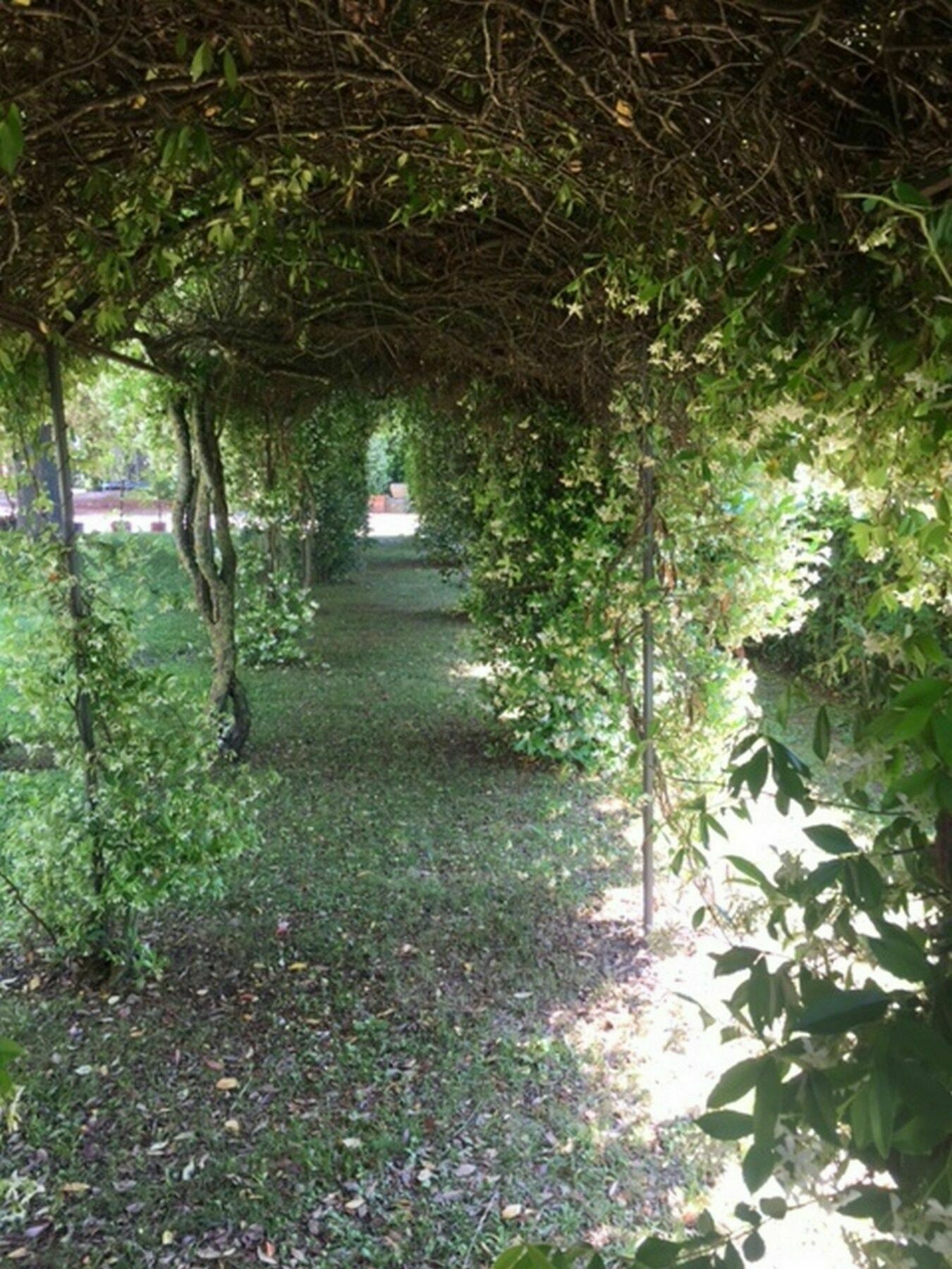 Relais Montemaggiore Bettolle Εξωτερικό φωτογραφία